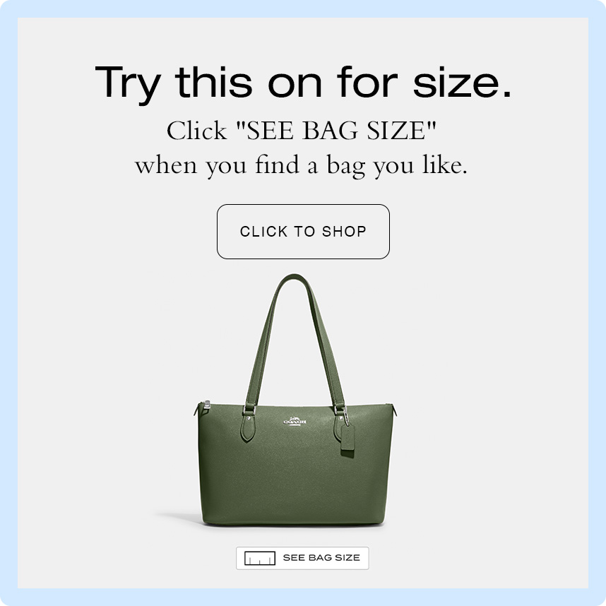 Top 77+ imagen is coach outlet a real website