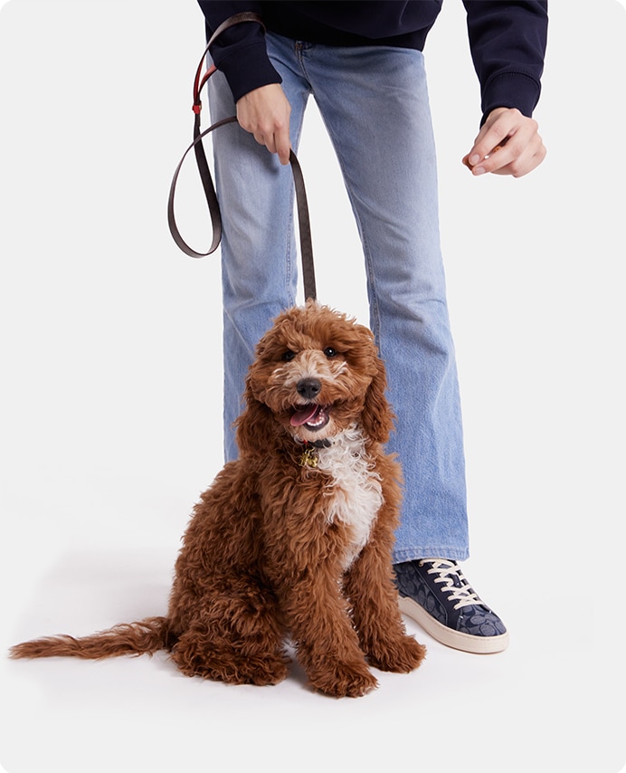 Designer Pet Accessories for Cats and Dogs | COACH® Outlet